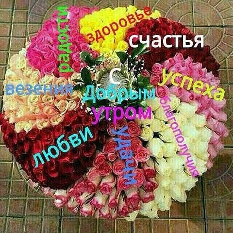 Открытка Здоровья, любви, благополучия, много, много счастья