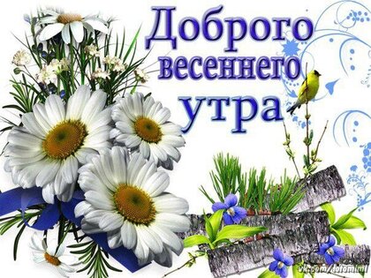 Картинки с добрым утром весенние