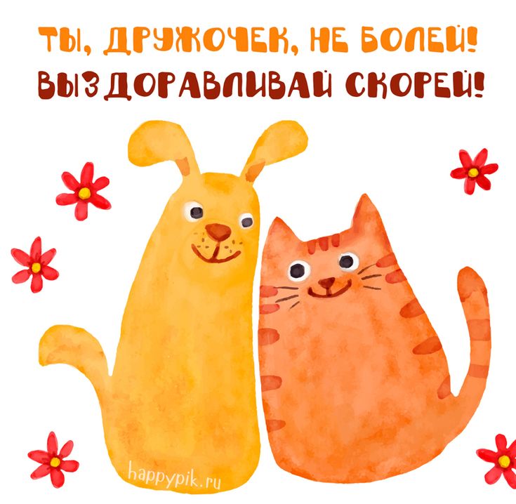 Поправляйся, не болей! Выздоравливай скорей! Красивая 