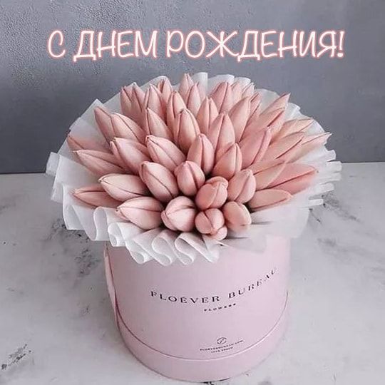 Поздравления ФДиНО