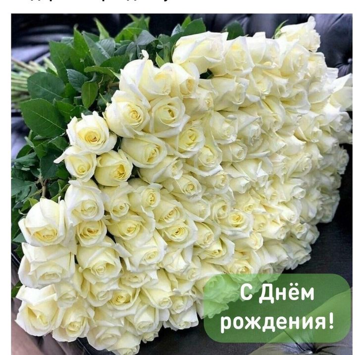 С Днём рождения ! Птицы, белые розы 