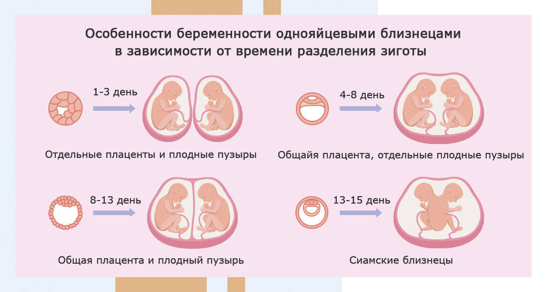 Роль семьи в психологической и 