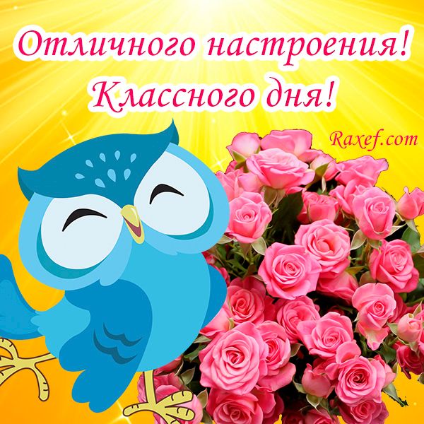 🌹Доброго Дня Отличного Настроения! Открытки Добрый День 