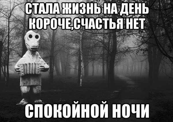 Спокойной ночи! Сладких снов! 😴#спокойнойночи #сладкихснов 