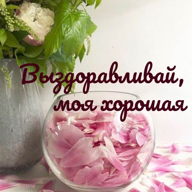 Выздоравливай!