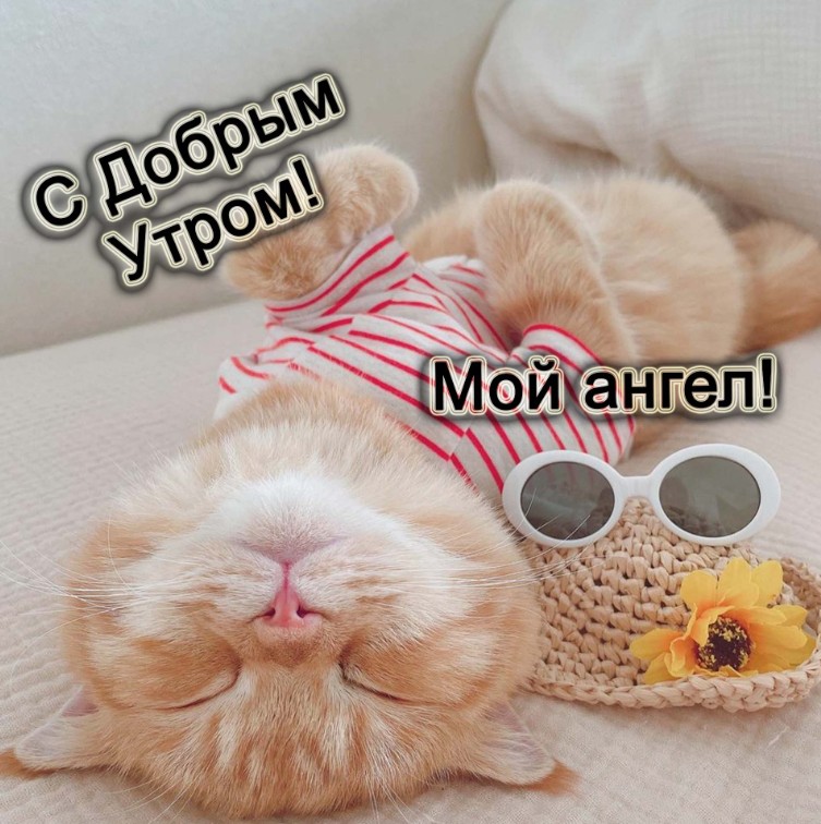 Доброе утро