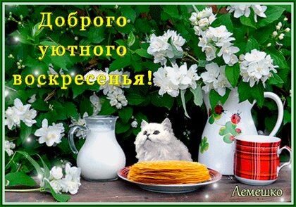 Воскресное утро июля