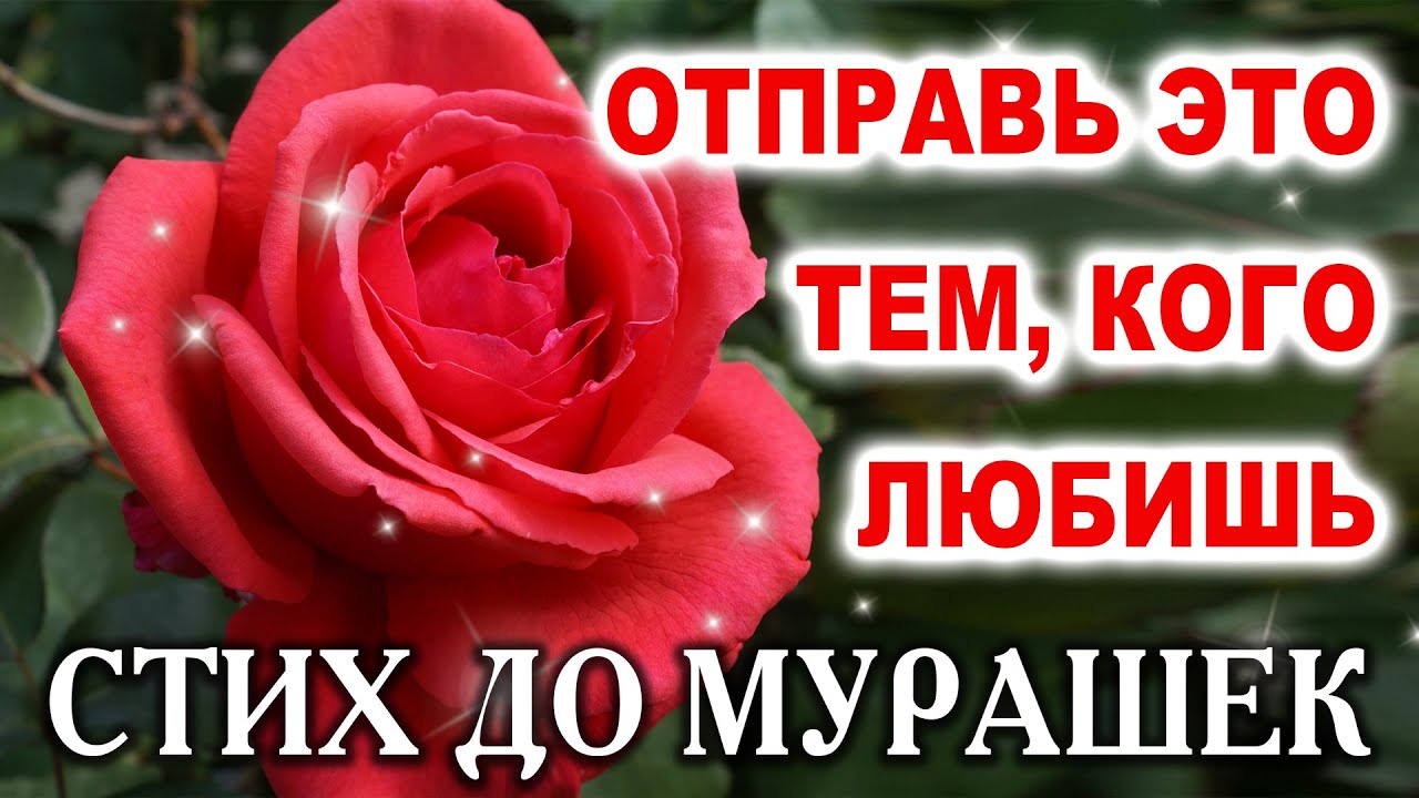 💖Трогательный СТИХ про ЖИЗНЬ📜 Доброе Утро!🌞 Музыкальная 