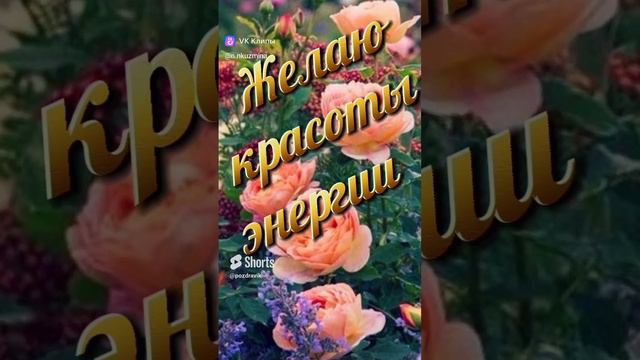 Открытка с шикарным букетом розовых роз 