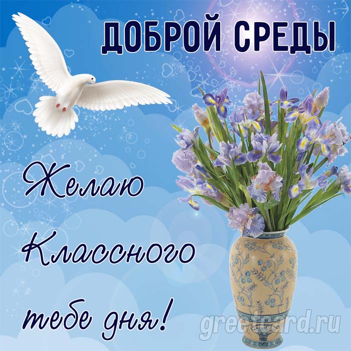 Удачной среды! 🦋 Поздравление со средой и пожеланиями 