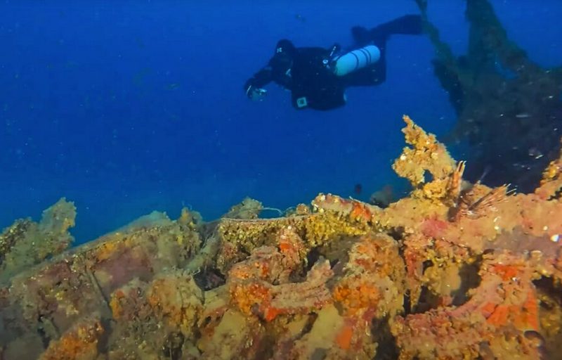 Подарочный сертификат на Курс по дайвингу PADI Open Water 