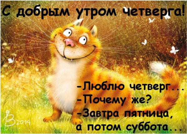 Позитивные картинки Доброе утро 😄 👇