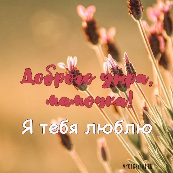 💗 Доброе утро, мама! Букет цветов для 