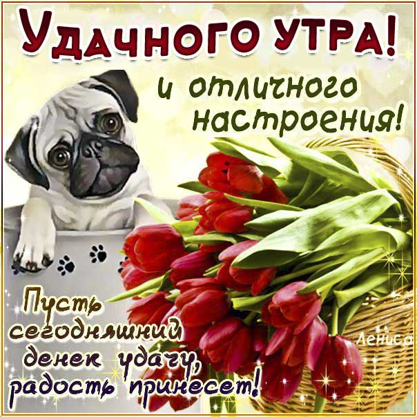 💌☀️😄 Картинки Хорошего дня