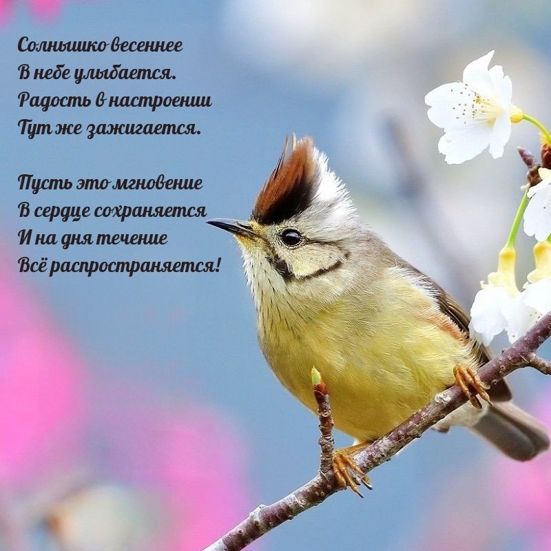 🌸✨☕ Красивые картинки 