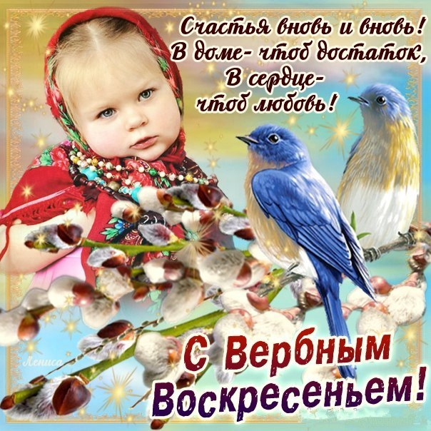 Новости СНГ