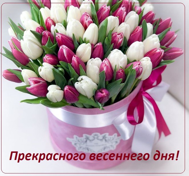 🌷 Хорошего весеннего дня 