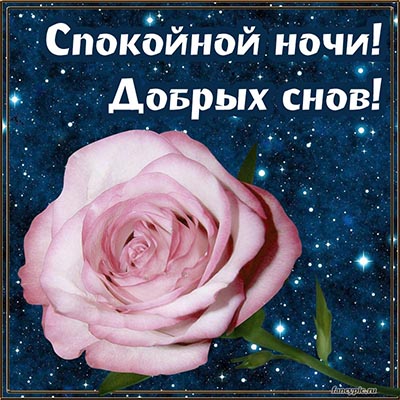 🌙 Приятных снов