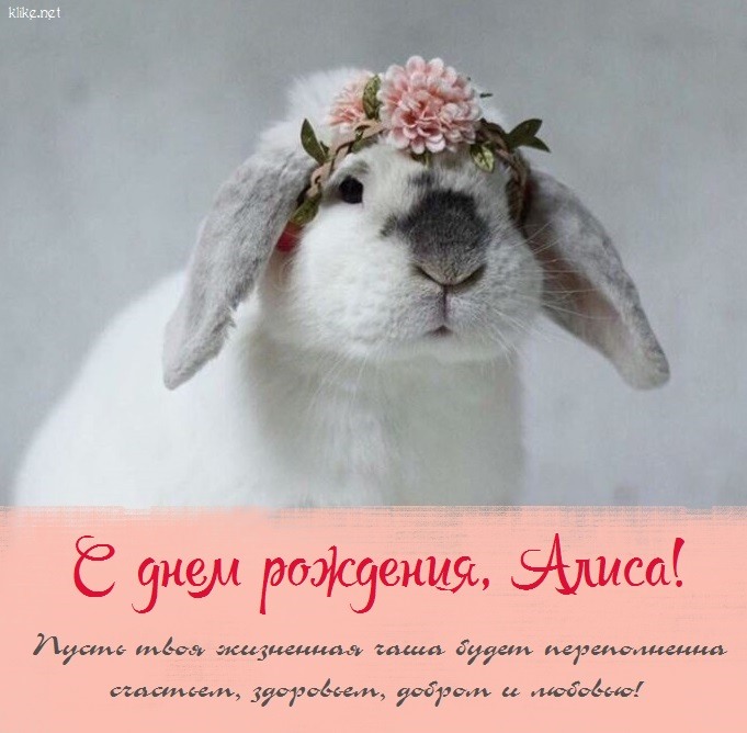 АЛИСА, с Днём Рождения ! / С Днём 