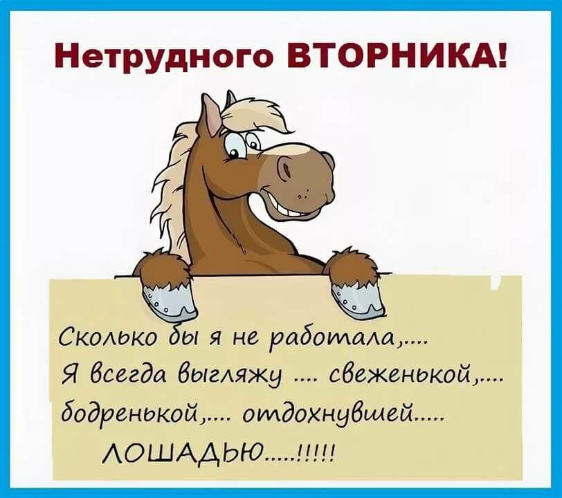 Доброго утра вторника