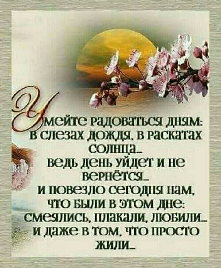 Мудрость жизни